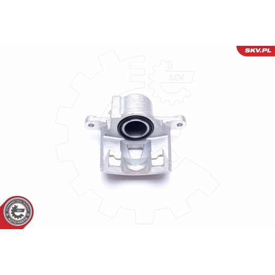 42SKV794 - Brake Caliper 