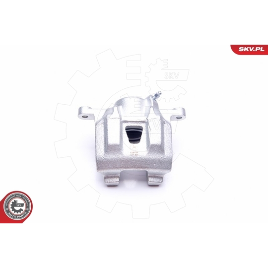 42SKV794 - Brake Caliper 