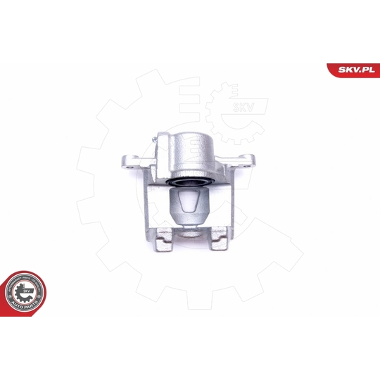 42SKV794 - Brake Caliper 