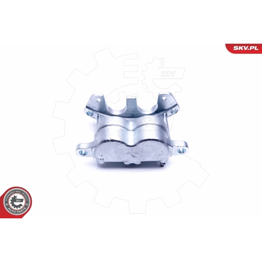 46SKV092 - Brake Caliper 