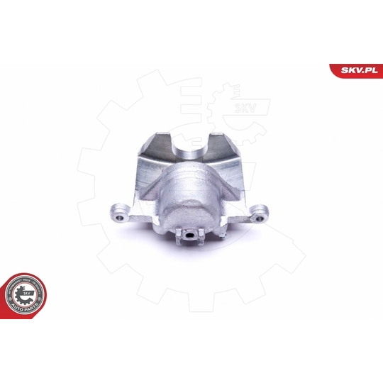 45SKV001 - Brake Caliper 