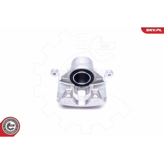 45SKV001 - Brake Caliper 