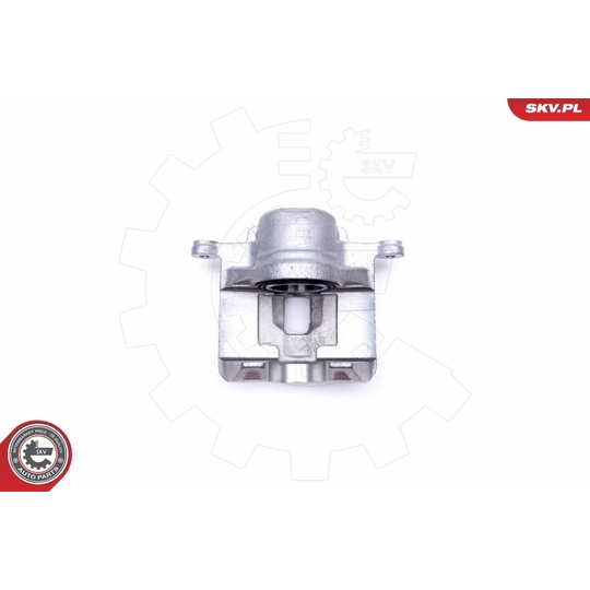 45SKV001 - Brake Caliper 