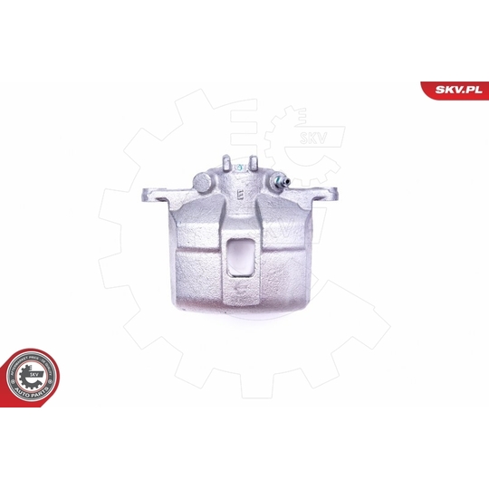 45SKV001 - Brake Caliper 