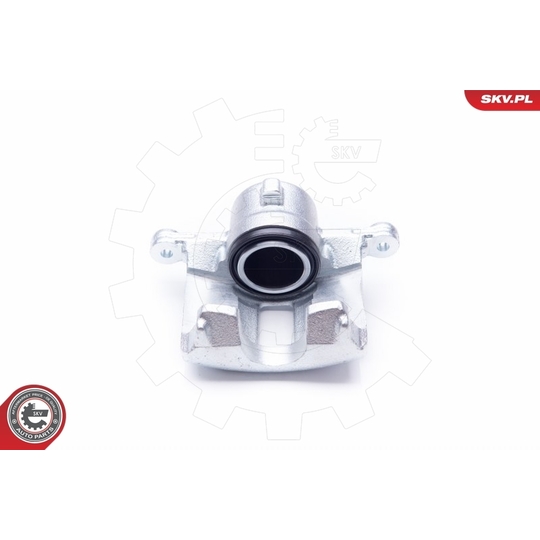 34SKV942 - Brake Caliper 