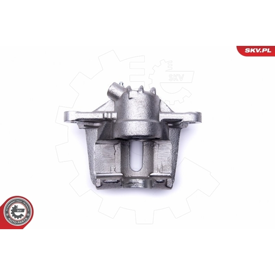 46SKV531 - Brake Caliper 