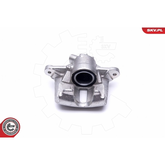 46SKV531 - Brake Caliper 