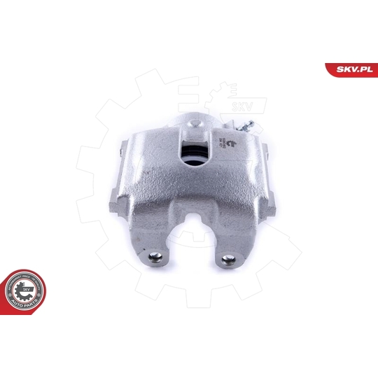 55SKV602 - Brake Caliper 