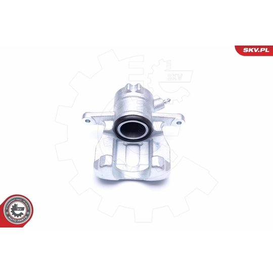 42SKV972 - Brake Caliper 