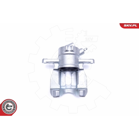 42SKV972 - Brake Caliper 