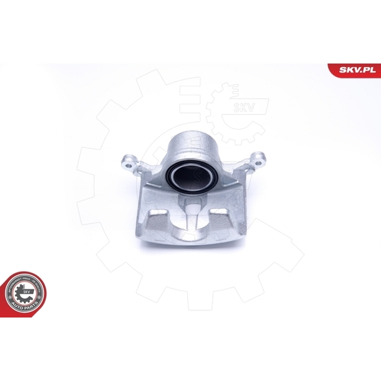 42SKV202 - Brake Caliper 