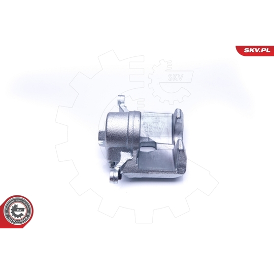 42SKV202 - Brake Caliper 