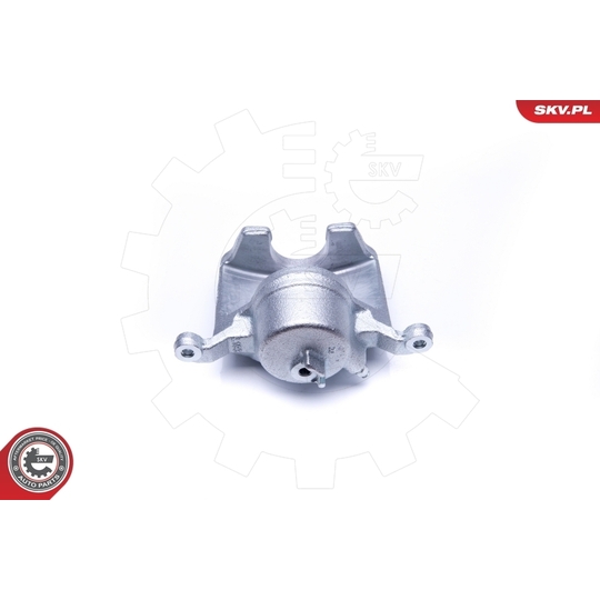 42SKV202 - Brake Caliper 