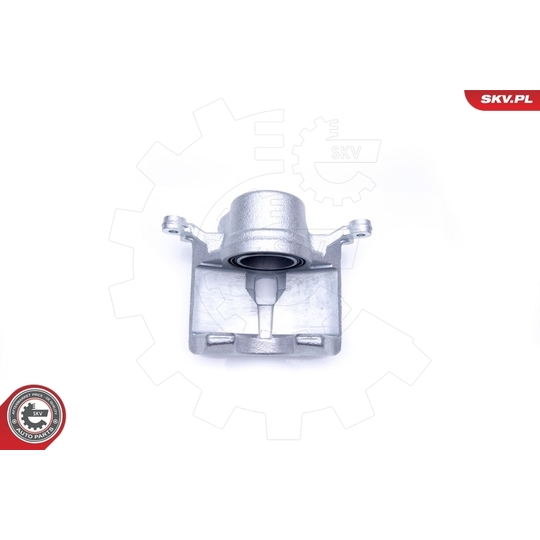 42SKV202 - Brake Caliper 