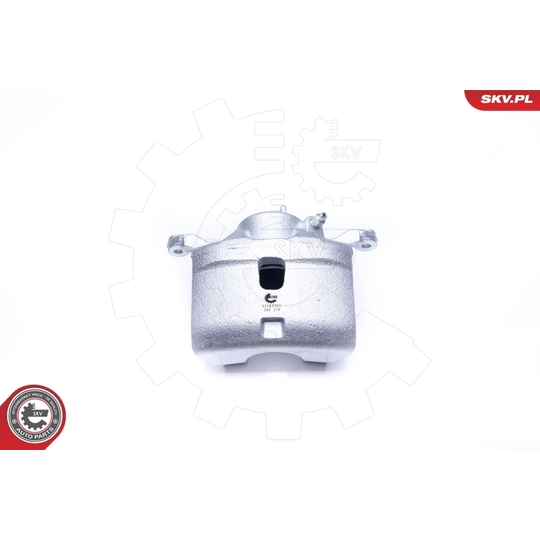 42SKV202 - Brake Caliper 