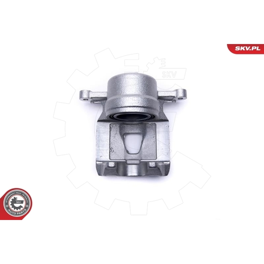 42SKV791 - Brake Caliper 