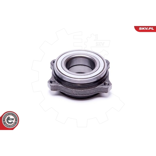 29SKV542 - Wheel Bearing Kit 