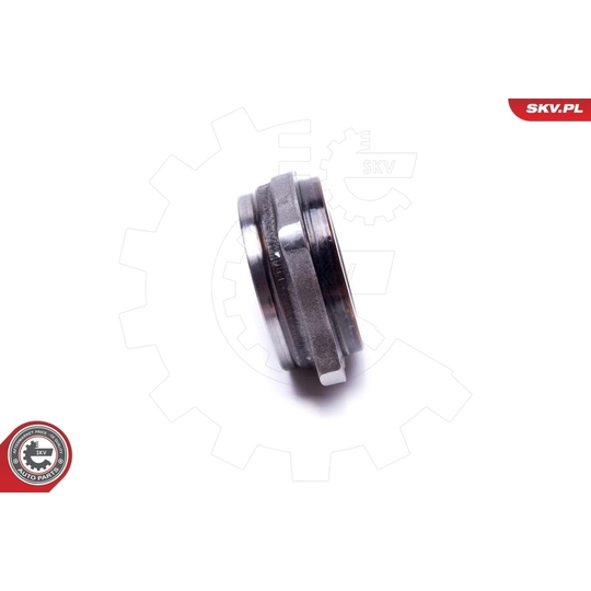 29SKV542 - Wheel Bearing Kit 