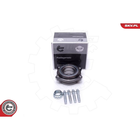 29SKV542 - Wheel Bearing Kit 