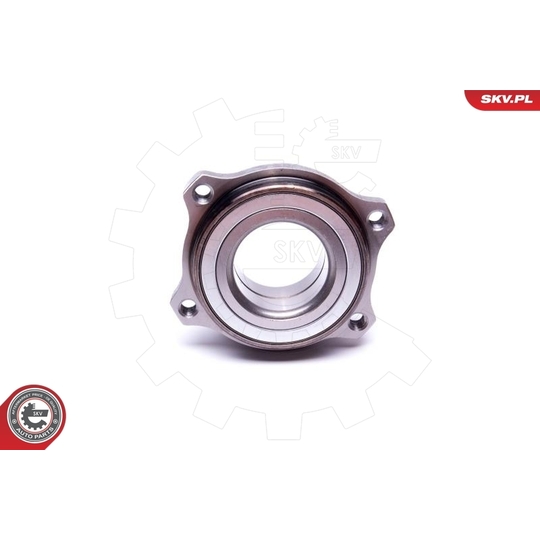 29SKV542 - Wheel Bearing Kit 