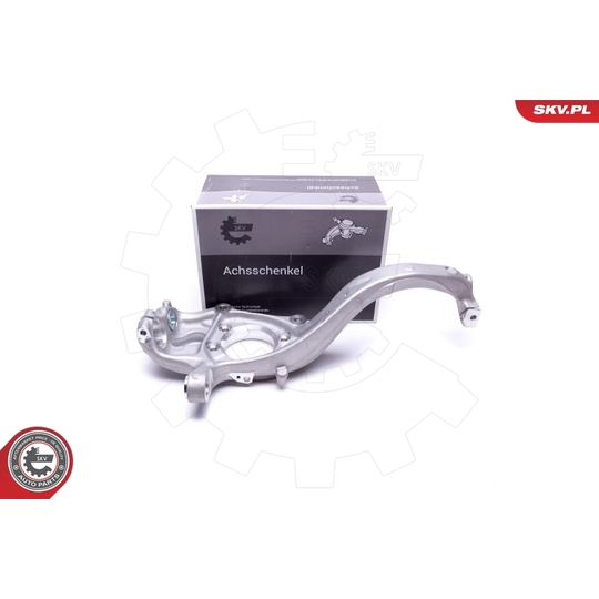 47SKV831 - Steering Knuckle, wheel suspension 