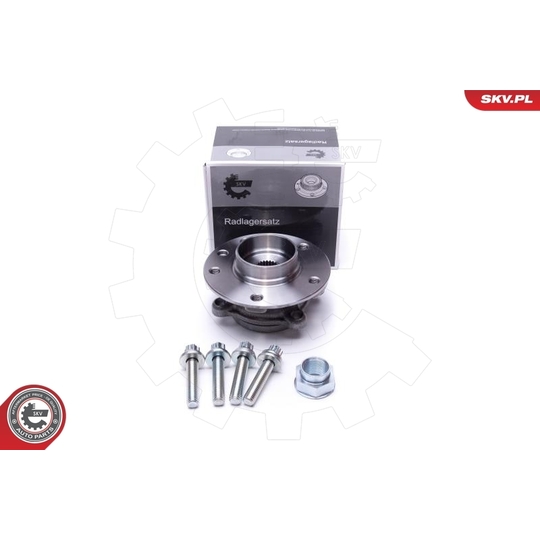 29SKV539 - Wheel Bearing Kit 