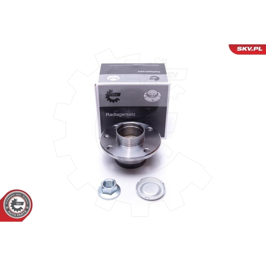 29SKV544 - Wheel Bearing Kit 