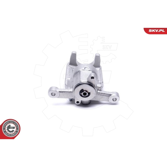 44SKV483 - Brake Caliper 