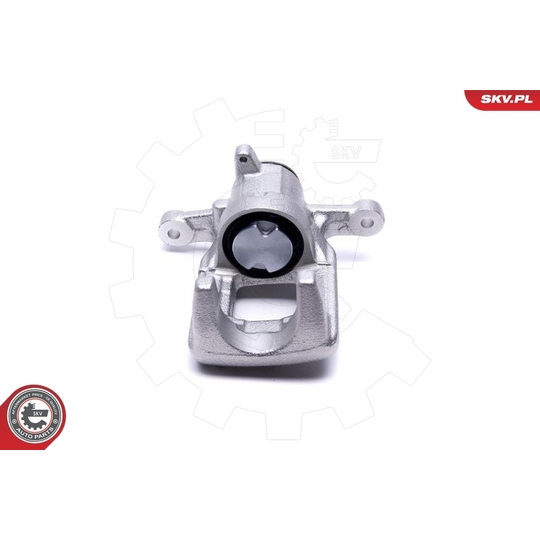 44SKV483 - Brake Caliper 