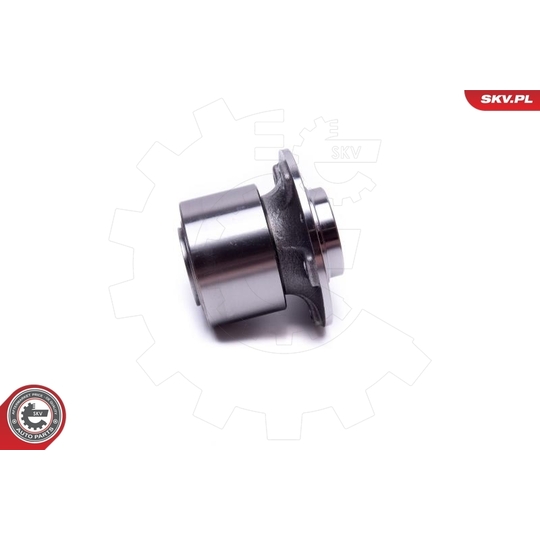 29SKV558 - Wheel Bearing Kit 