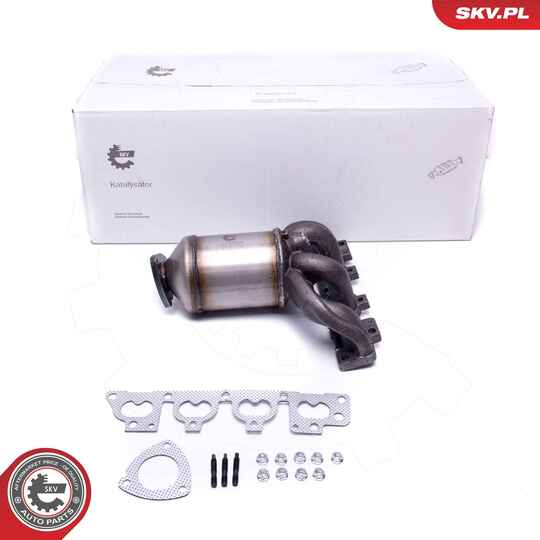 62SKV006 - Catalytic Converter 