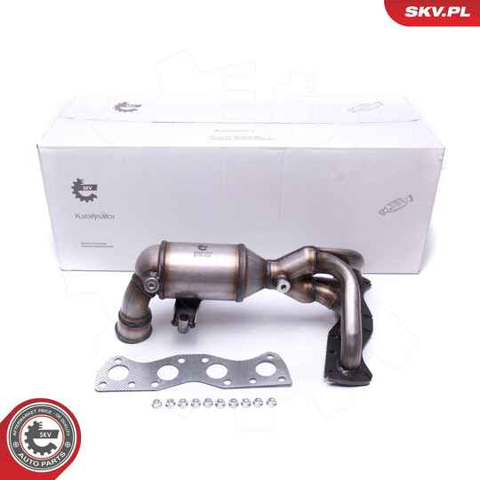 62SKV003 - Catalytic Converter 