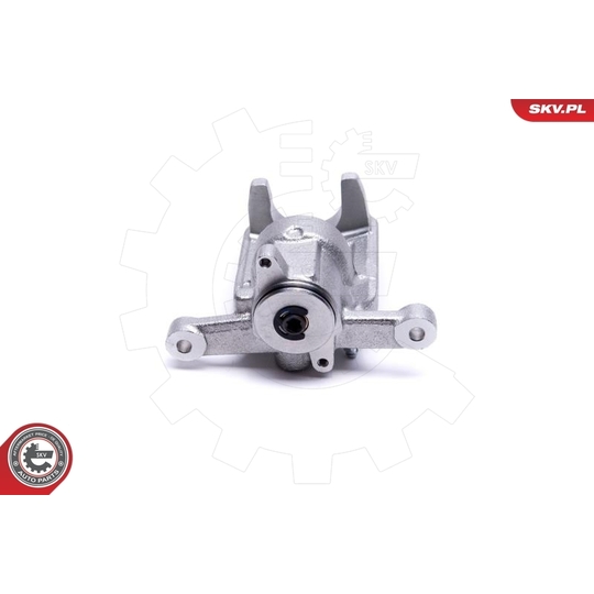 44SKV484 - Brake Caliper 