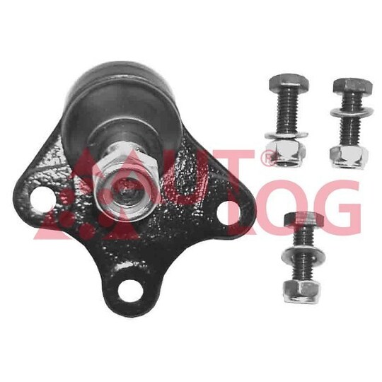 FT1613 - Ball Joint 