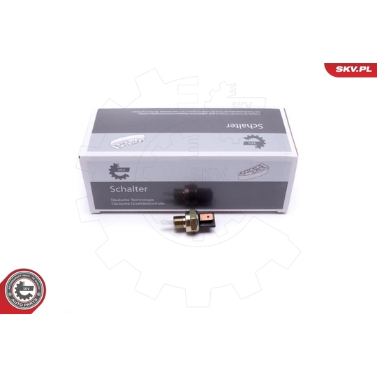 38SKV815 - Brake Light Switch 