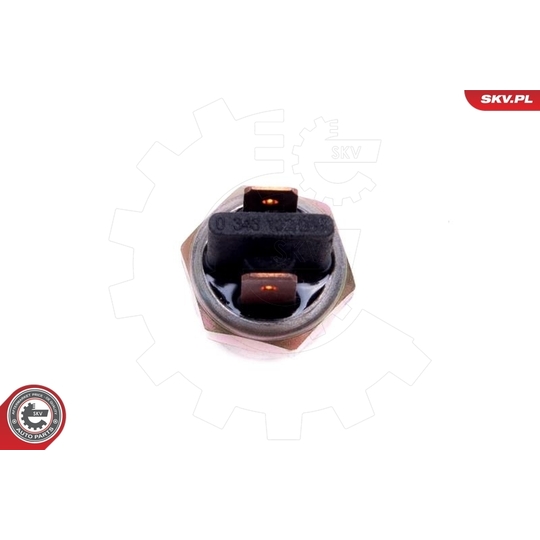 38SKV815 - Brake Light Switch 