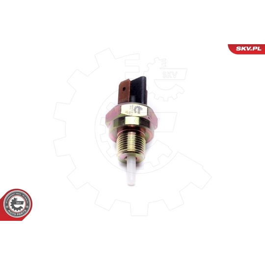 38SKV815 - Brake Light Switch 