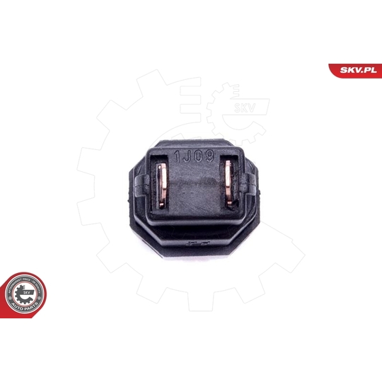 38SKV810 - Brake Light Switch 