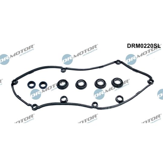 DRM0220SL - Gasket Set, cylinder head cover 