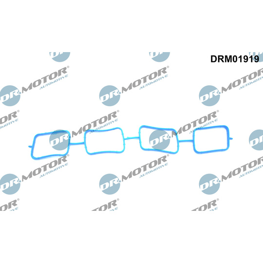 DRM01919 - Gasket, intake manifold 