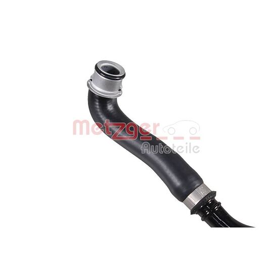 2421700 - Radiator Hose 