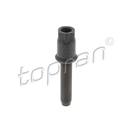 504 091 - Pulley Bolt 