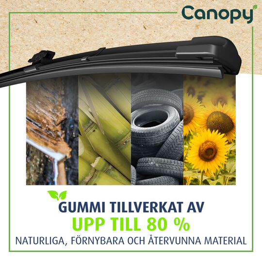 583976 - Pyyhkijänsulka 