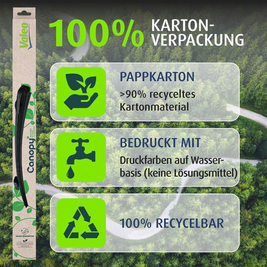 583976 - Pyyhkijänsulka 