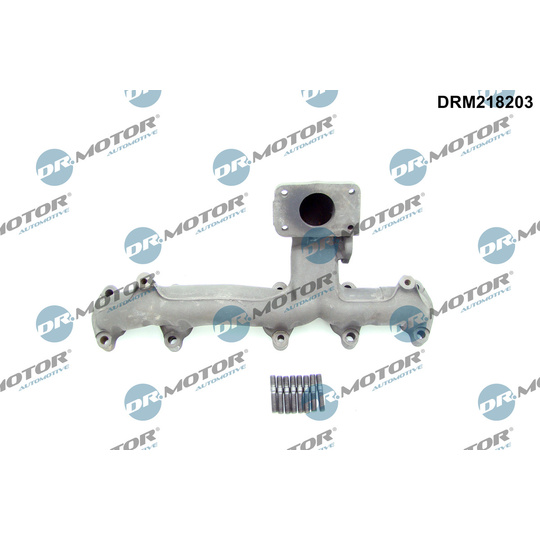 DRM218203 - Manifold, exhaust system 