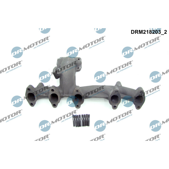 DRM218203 - Manifold, exhaust system 