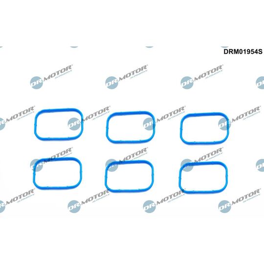 DRM01954S - Gasket Set, intake manifold 