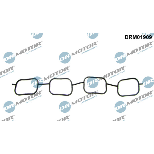 DRM01909 - Gasket, intake manifold 