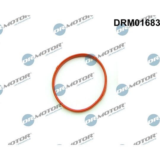 DRM01683 - Seal, throttle body 