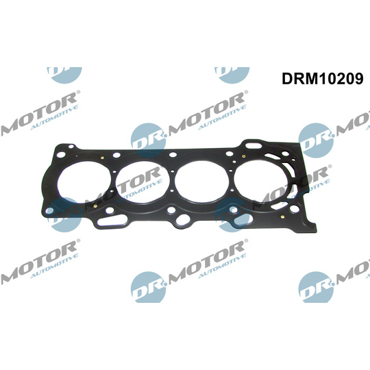 DRM10209 - Gasket, cylinder head 